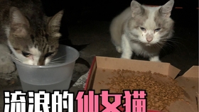 a9504f1a4ceaec55e9f06a1b963a03f369fb4b2a.jpg@280w_158h_1c_100q.jpg
