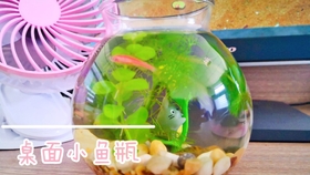 a968417646457b25e07ef02a750e4a737d441623.jpg@280w_158h_1c_100q.jpg