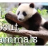 All About Mammals for Children： Cats, Bears, Elephants, Pand