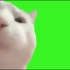 猫猫头memes 绿幕素材