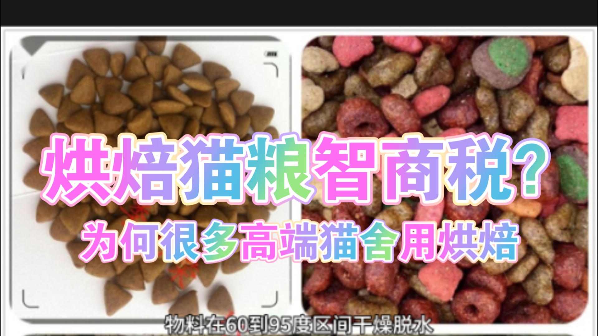 烘焙猫粮最近口碑变差，但很多高端猫舍依然用烘焙粮，是因为都傻吗？事实，是你不了解真相