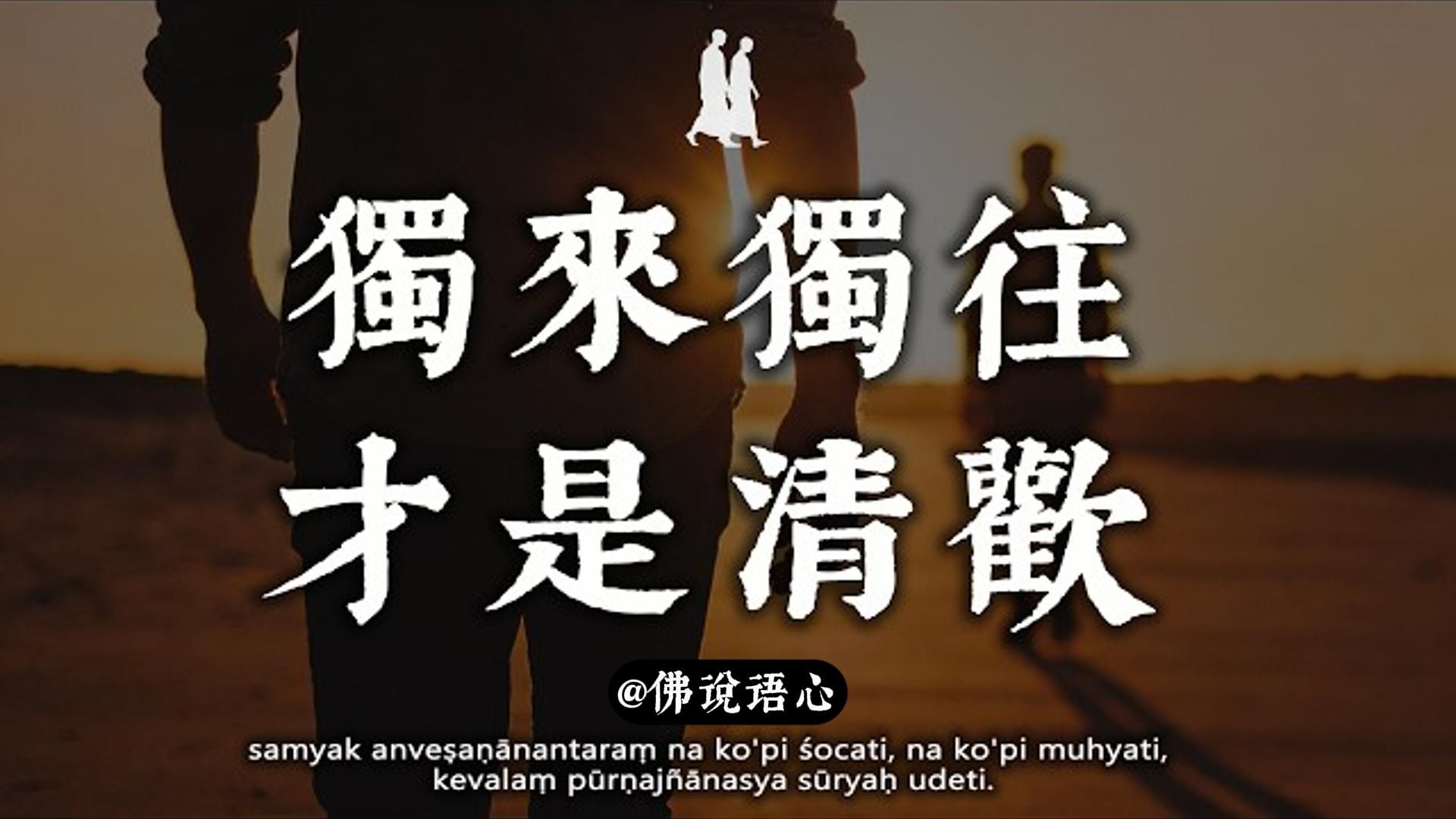 独来独往，才是清欢。很多人不懂，其实这是人生的境界，人到最后，终要学会与自己相处。