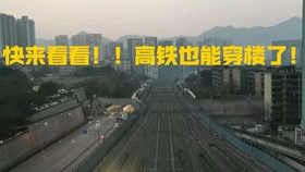 奉节多少人口_奉节脐橙图片