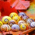 古巴彩色蜗牛：特立独行的蜗牛，每一只都是不同的颜色【生命之色】