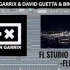 Martin Garrix & David Guetta & Brooks - ID (Like I Do) （带工程文