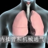 3D动画：呼吸困难时如何通过气管内插管和机械通气获得额外氧气
