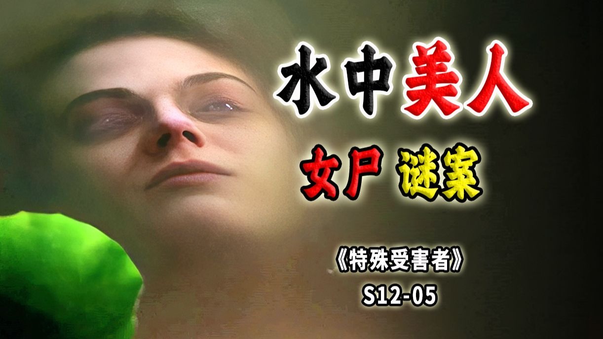 美人殒命喷水池！有钱有颜的女强人，为何向陌生人投怀送抱？《SVU》S12-05