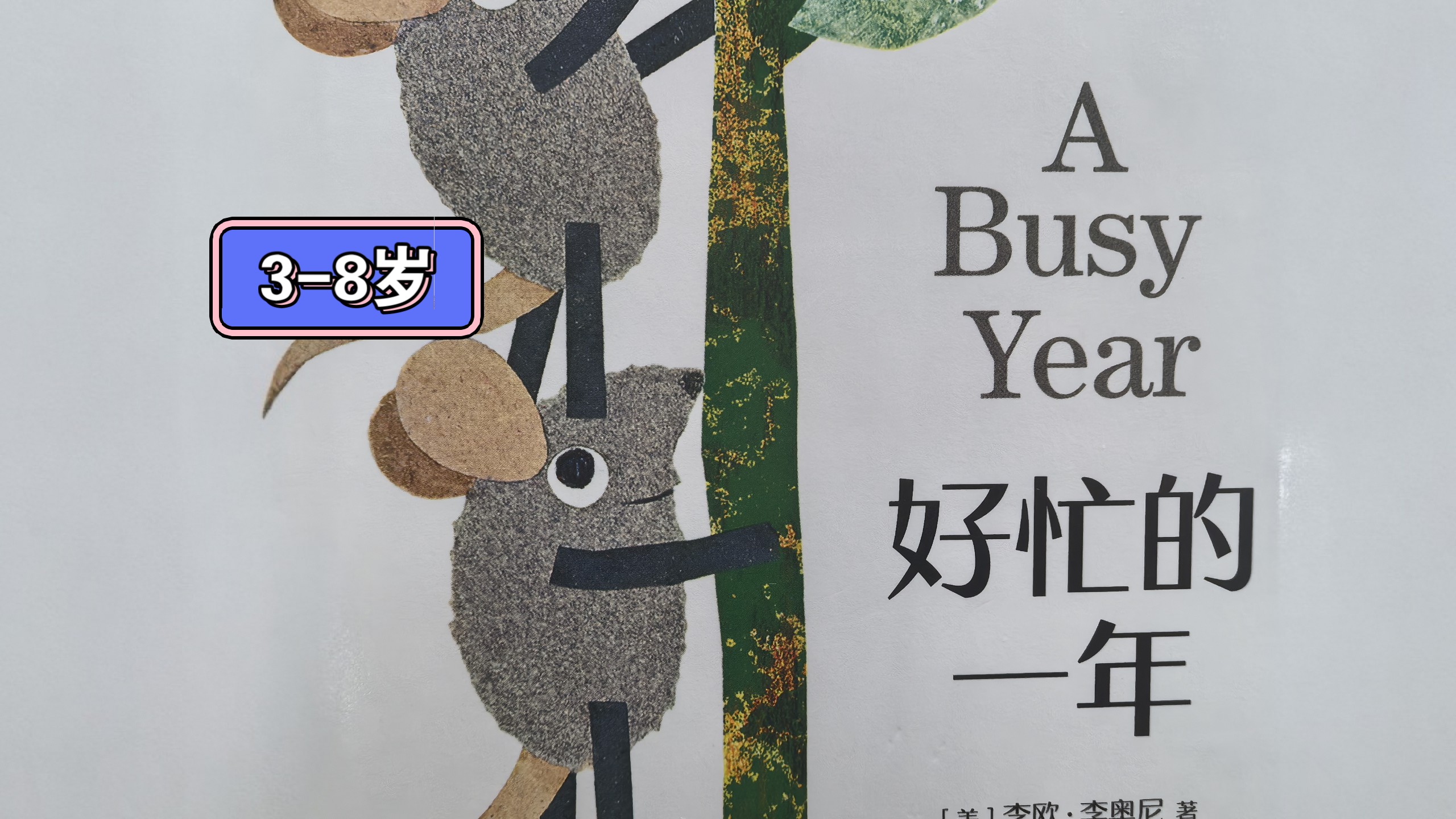 《好忙的一年》