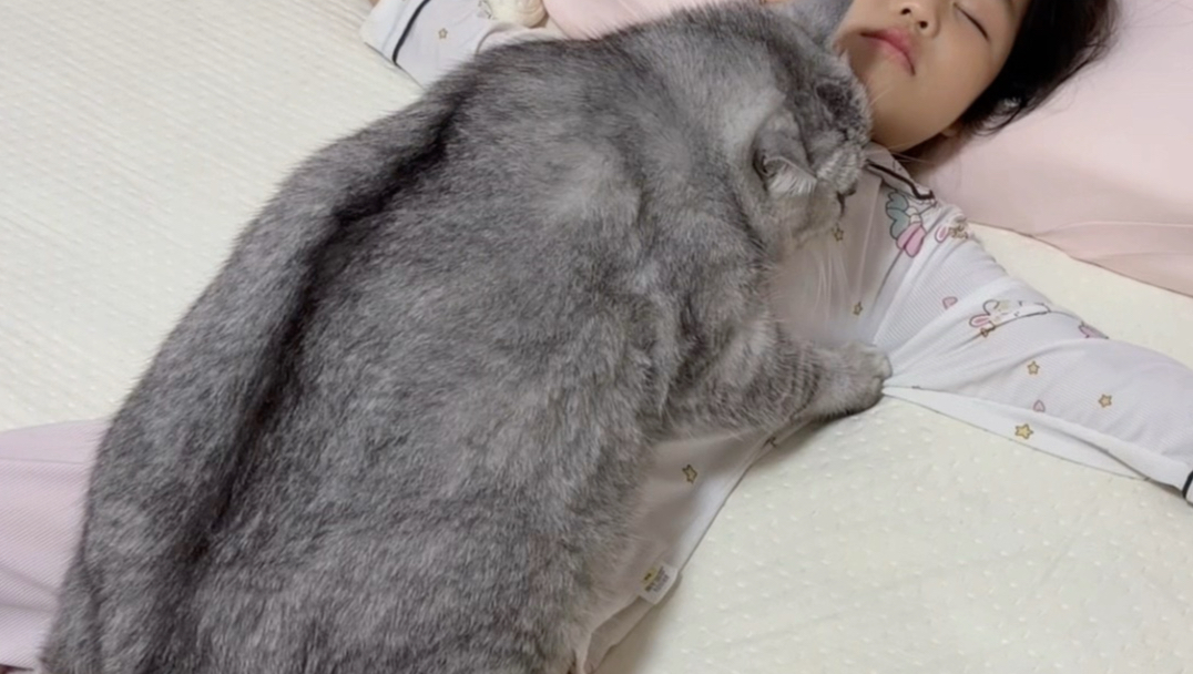 人，你逃不出咪的掌心