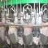 Foodmate公司 产能高达6000只小时的全套肉鸡生产线 自动化杀鸡