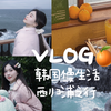 韩国旅行VLOG（下）比济州更美的西归浦！冬日走走逛逛的慢生活