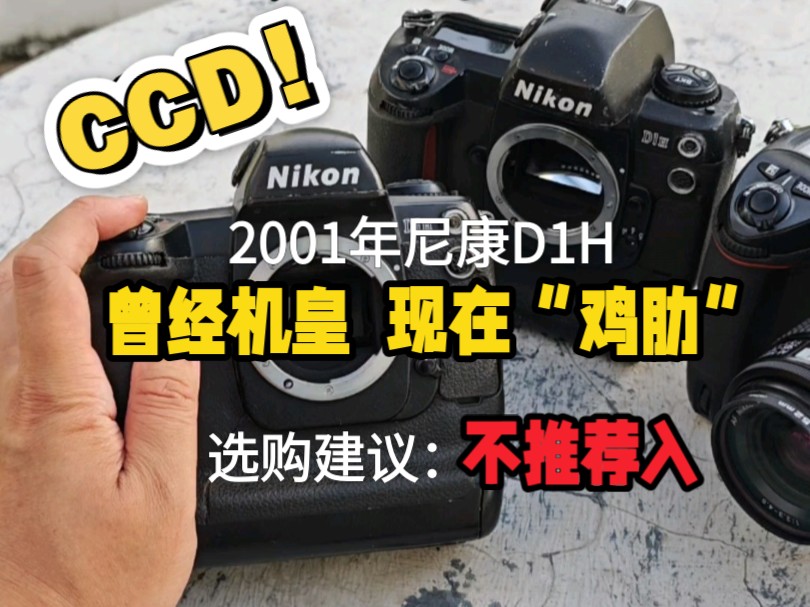 2001年机皇，现在“鸡肋”，尼康D1H，CCD传感器，5张／秒连拍。虽然价格不贵，但是因为太老了，现在不建议入手。