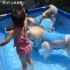 【怪谱字幕组】日本一个小女孩与三只哈士奇在泳池力玩水，萌萌哒。