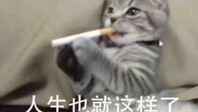 人生经历不完的辛酸 aa6b0099308ce06a5ef100078a3be862961de20c.jpg@280w_158h_1c_100q.jpg