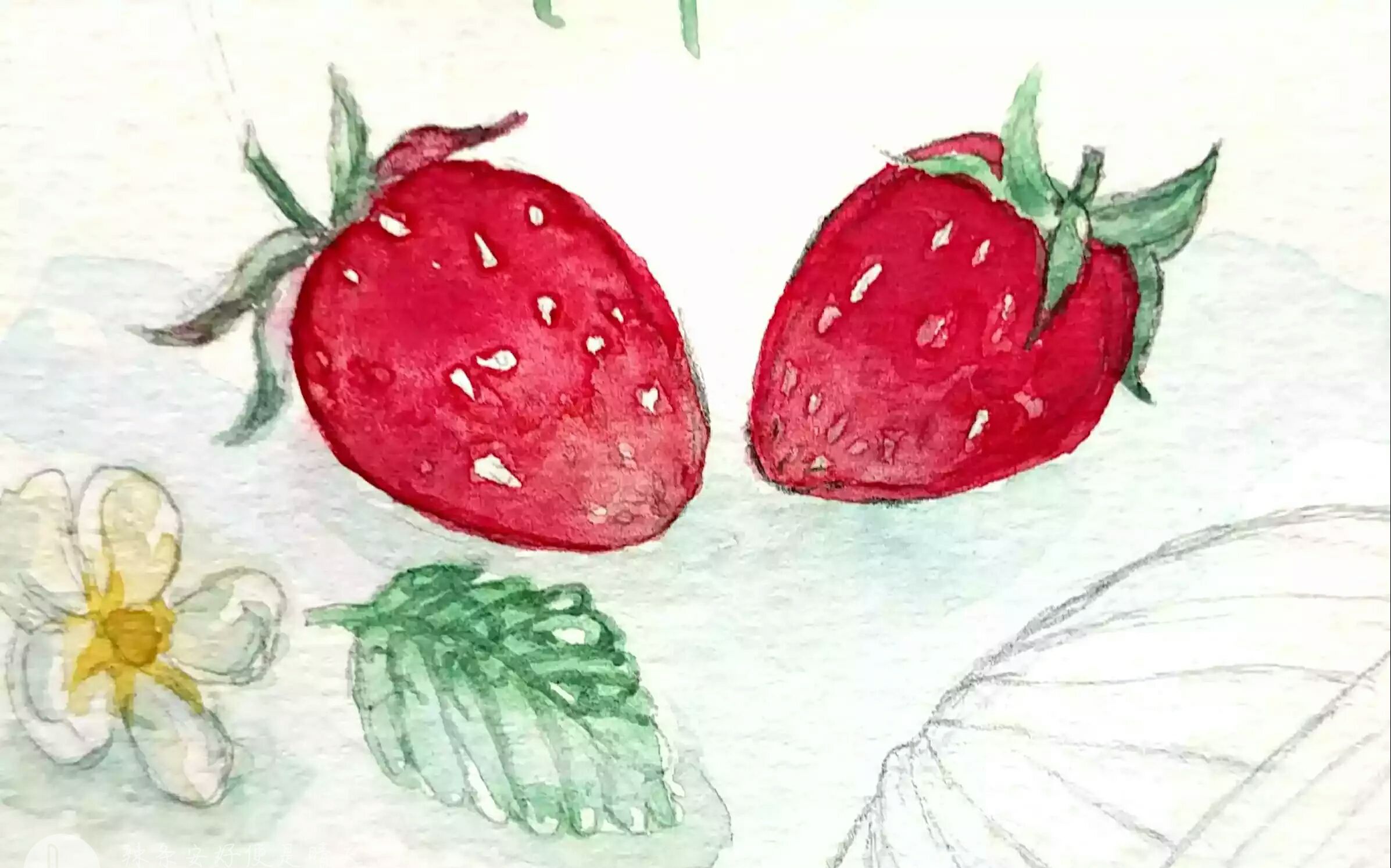 【水彩】画画小草莓!以及它的花花和叶子!_绘画_生活