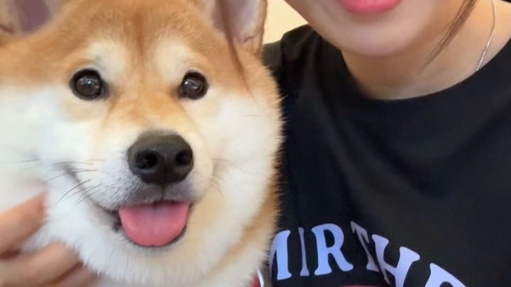 综合：AI教你如何在一周内涨粉过千