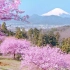 那些日本一眼无法忘记的景色你知道几个？