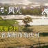 【4K 又一村·风光】中国美丽乡村 浙江省湖州市泉庆村