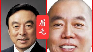 狮子眉，扫帚眉，促秀眉三者区分！