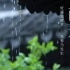王家荣：24节气之雨水节气的由来和雨水风俗及雨水古诗词名句