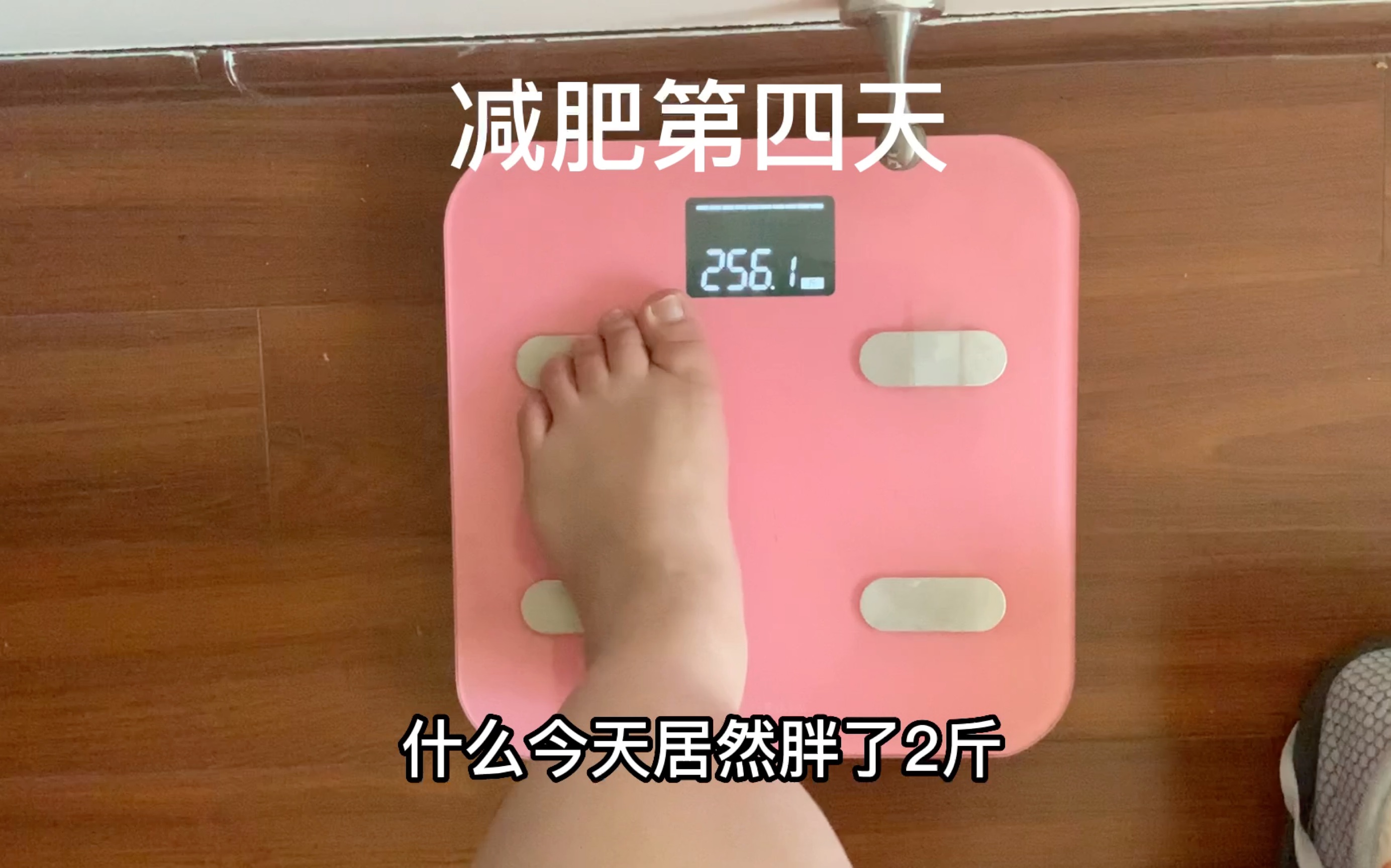 268斤胖妹挑战年前下200斤距离过年还有48天有希望成功吗？-268斤的香香-268斤的香香-哔哩哔哩视频