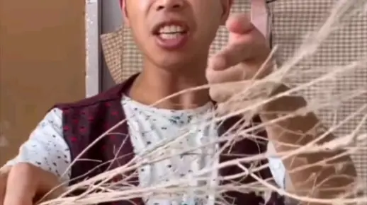 新二吃树枝，最后居然吐了