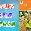 小学科学 教科版 三年级上册 2021新版 教学视频 科学3年级上册