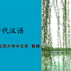【北京大学】古代汉语101集（全