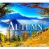 世界各地的秋季美景4K超高清- 带有舒缓音乐的风景休闲影片