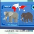亚洲象和非洲象的区别是什么呢？
