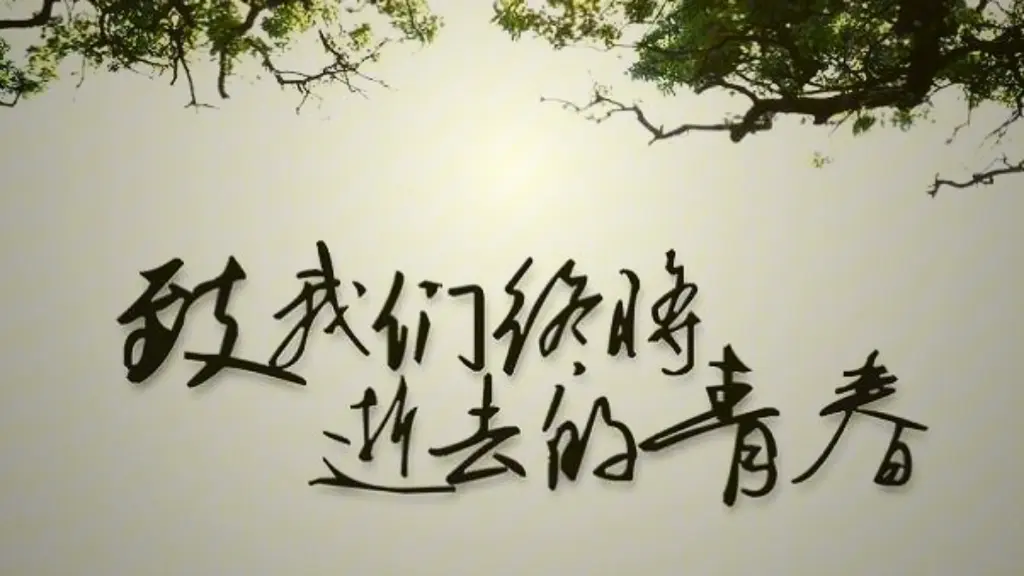 致我们终将逝去的青春