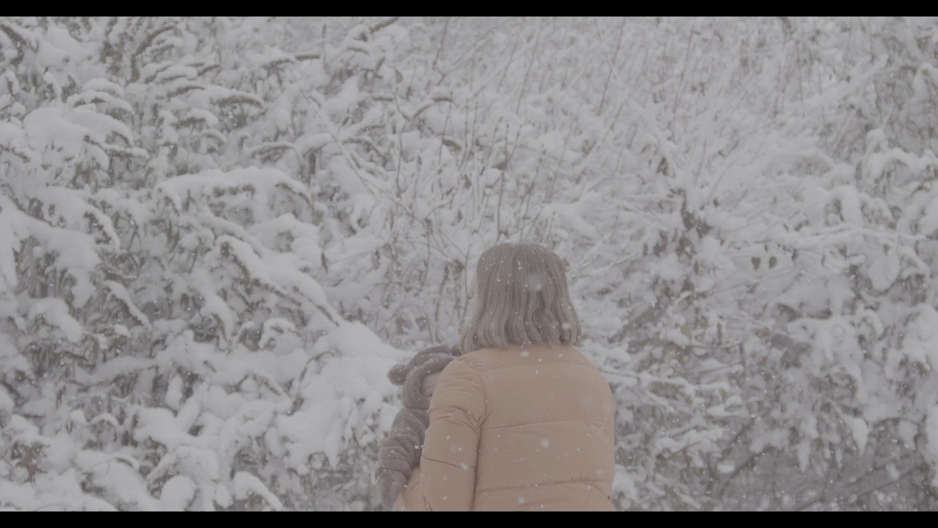 达芬奇调色练习素材分享 231