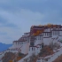 西藏林芝2019