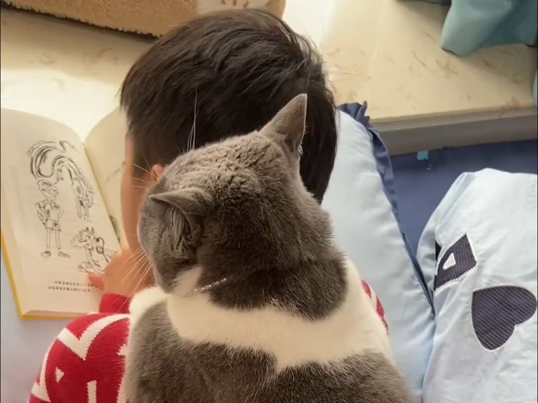 谁家哥哥看书，身上背着一只猫啊
