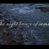 「夏日晚风」丨The night breege of summer