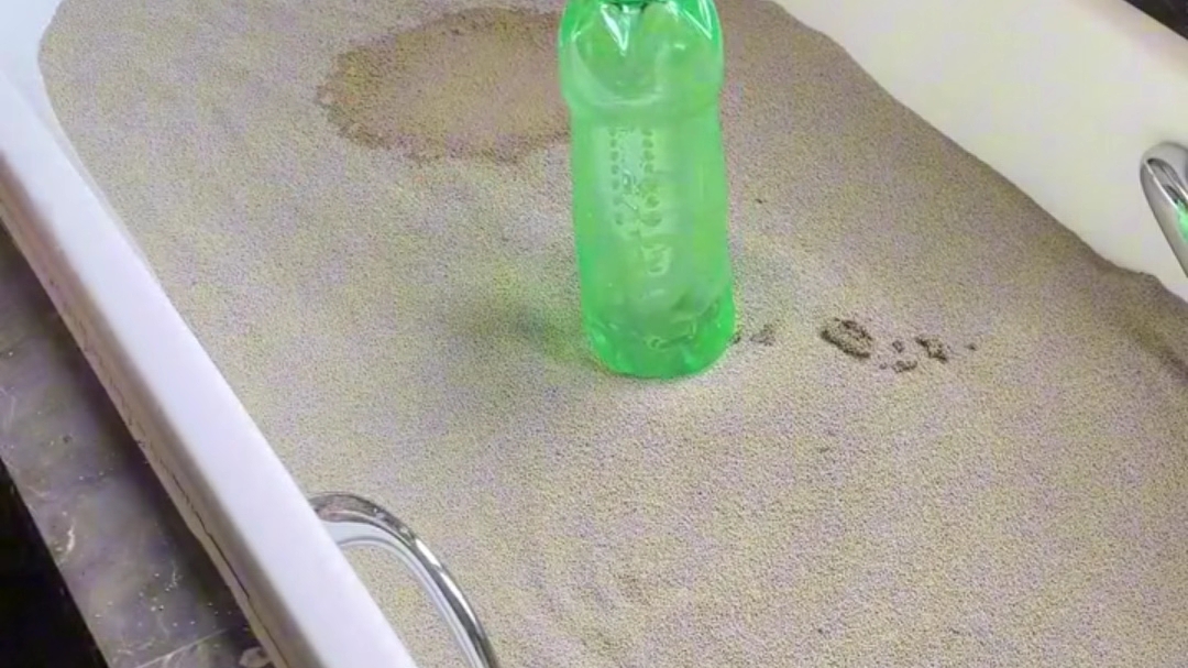 猫砂这玩意天天用，实在不明白买那么贵那么花里胡哨的干嘛