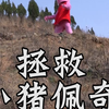 拯救小猪佩奇