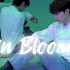 【章昊直拍】力度表情管理全程在线的视觉享受-ZB1舞蹈版主打曲in Bloom