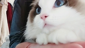 ab85db36751d5e9453e2949cd5e3cd2f6b9add6d.jpg@280w_158h_1c_100q.jpg