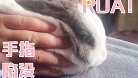 ab91e1727335bfbe4474e56156a5904ad6106bff.jpg@280w_158h_1c_100q.jpg