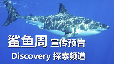 ab9249d9cca07de2d356e4f9d1e3b4c56f3ac94b.jpg@480w_270h_1c