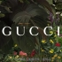 Gucci这次太大胆了！春夏系列大片根本没用摄影师！
