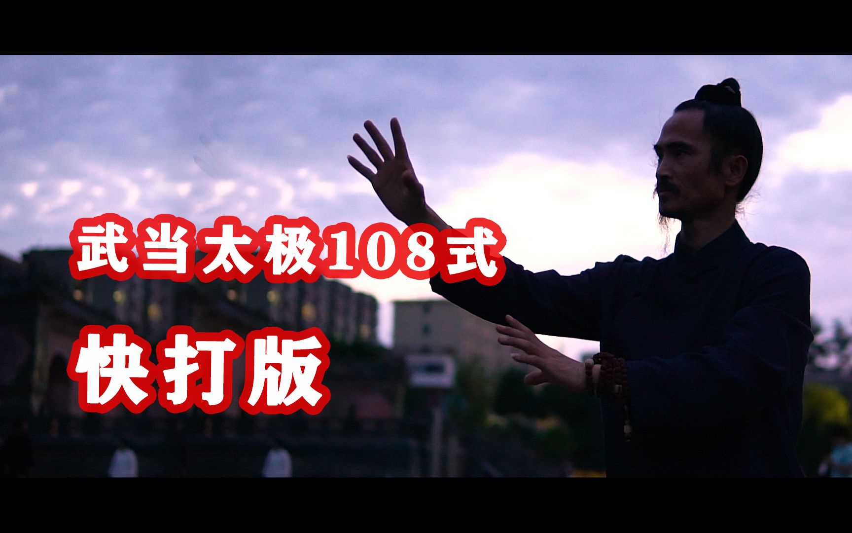 袁师懋道长武当太极拳108式（快打版）