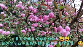 abeb7f17894452895120f6f391d8a7d26d7d8e65.jpg@280w_158h_1c_100q.jpg