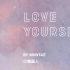 【中字】防弹 首尔DVD BTS 'Love Yourself' Seoul 完整版
