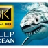 [中字]深海纪录片8K超高清 - 深入探索神秘而令人敬畏的海洋世界