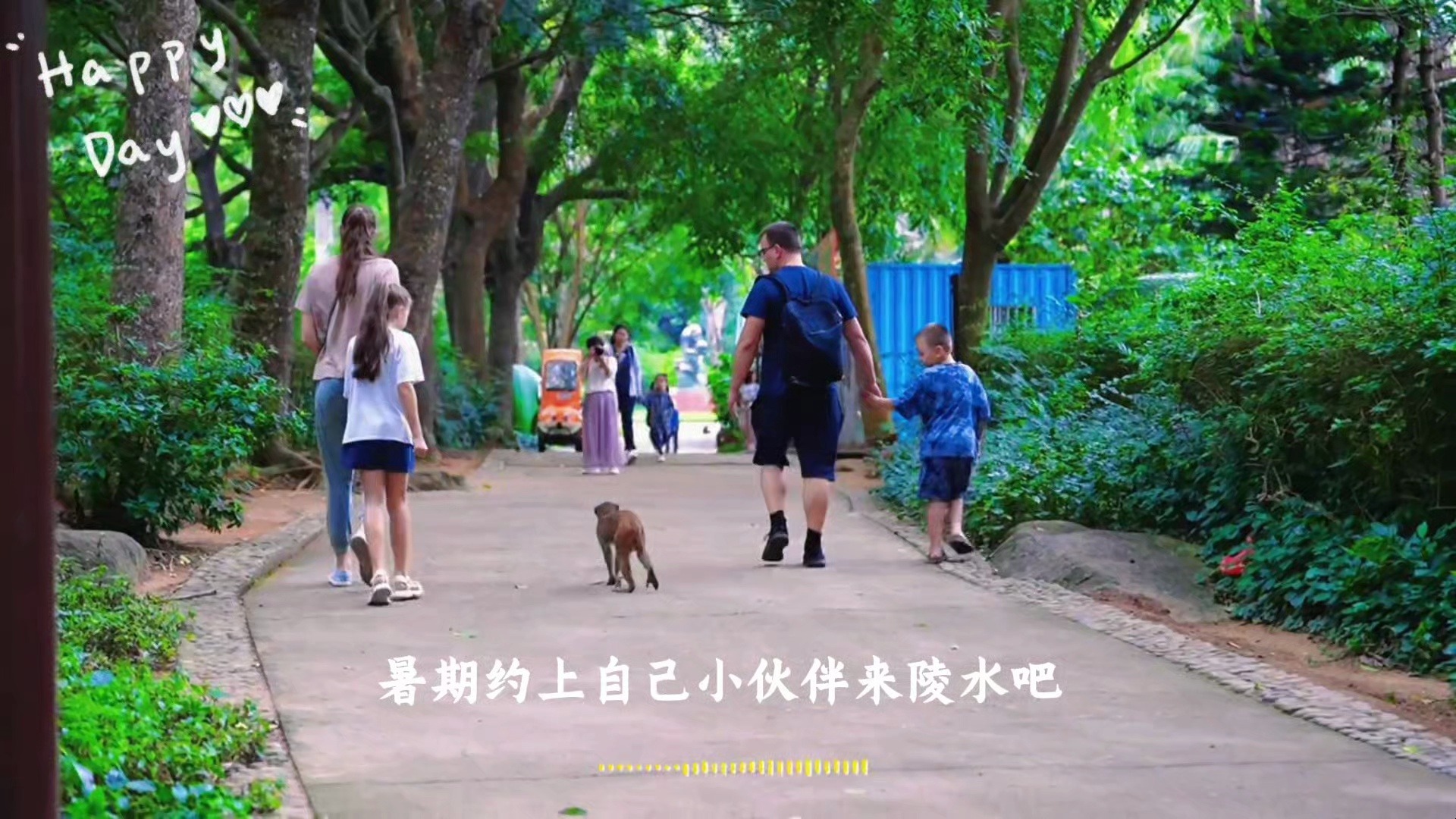 🐵暑期约上小伙伴一起来南湾猴岛吧 🏫596享陵水南湾猴岛(双岛一湾一秀〕双人票，入住天朗酒店