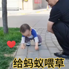 宝宝在小区花园人行道找小蚂蚁，给蚂蚁要喂草，追着蚂蚁不停