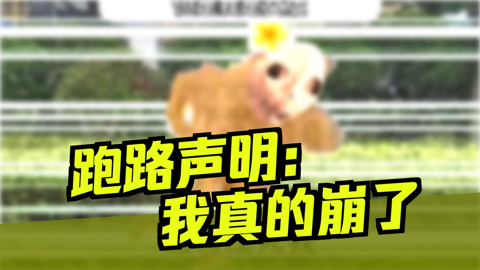 当亲戚给我介绍相亲对象但我是女版