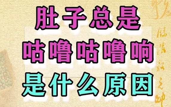 肠胃调理:肚子总是咕咕响,是什么原因?哔哩哔哩bilibili